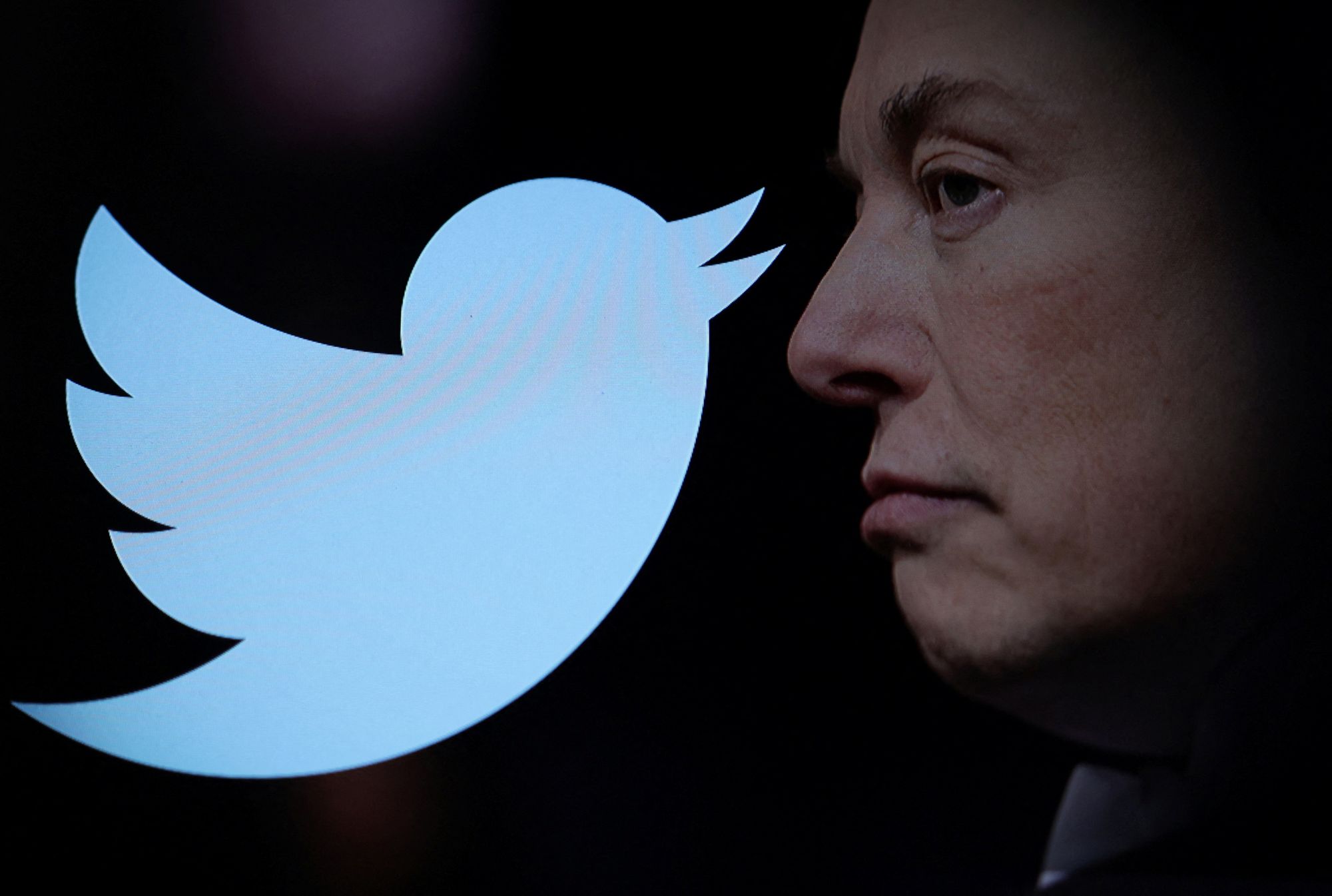 The Free Press: Unsere Berichterstattung bei Twitter