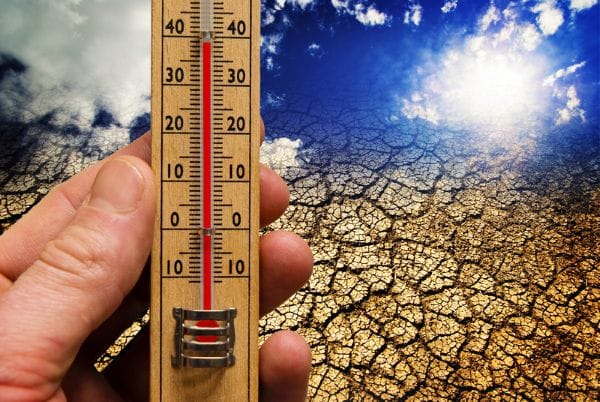 Cargo Cult Climate Economics